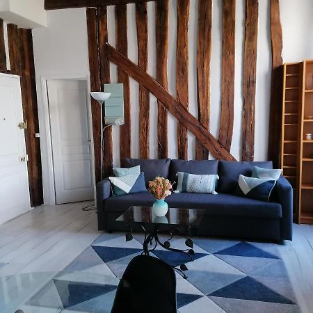 Evasion Autour De Poutres Et Pierres Plein Centre Apartment Orleans Exterior photo